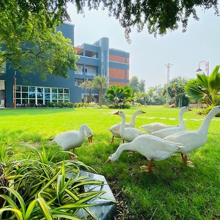 Krishna Riverside Resort Vasad Luaran gambar
